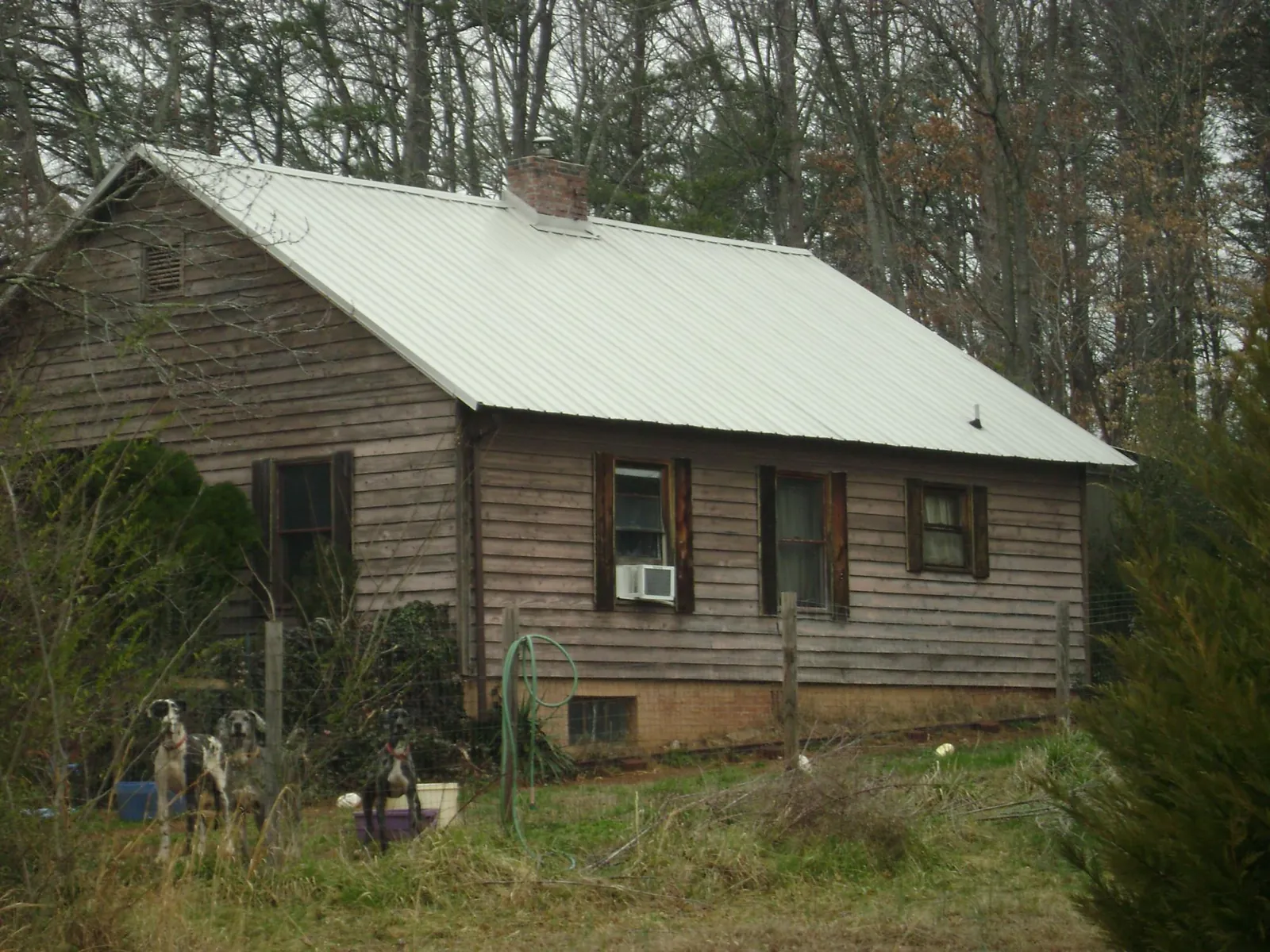 White metal roof on an old wood sided farmhouse, from a Metal Roof Installation job in Everett